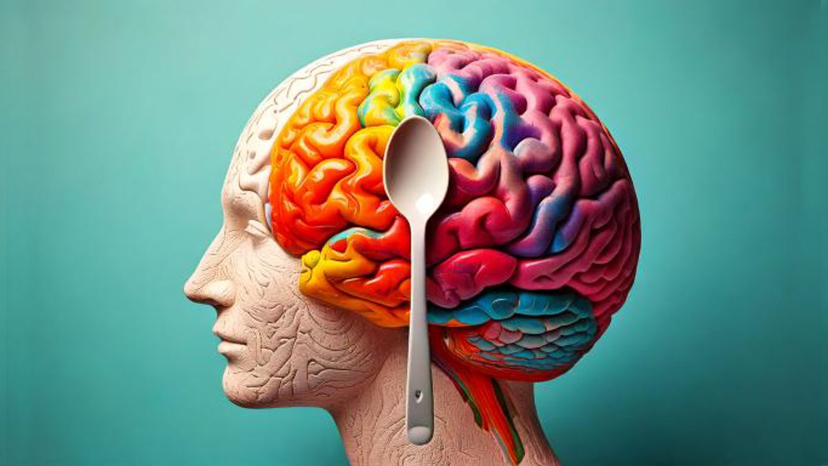 This is Your Brain on Plastic, a Literature Review