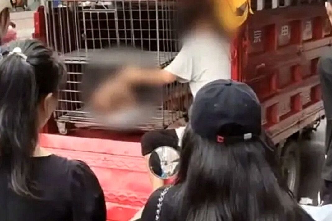 A still from a video of a child (blurred out) in a cage held in the back of a vehicle in the streets of Haikou on China's Hainan Island on June 16, 2025.