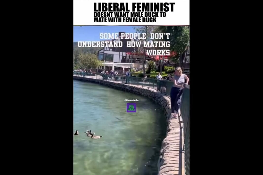 Liberal Feminist doesn't want male duck to mate with female duck
