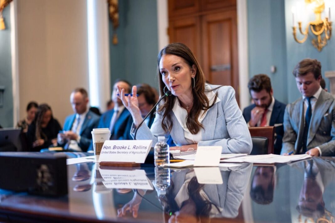 Agriculture Secretary Brooke Rollins testifies before the House Agriculture Committee on Capitol Hill in Washington on June 11, 2025.