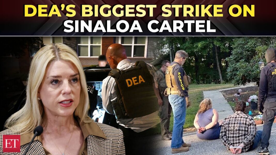 617 suspects arrested in DEA crackdown on Sinaloa cartel, drug haul worth millions seized