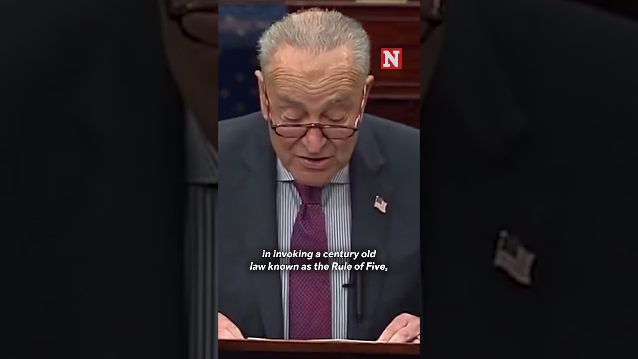 Epstein’s Democrat’s Protection