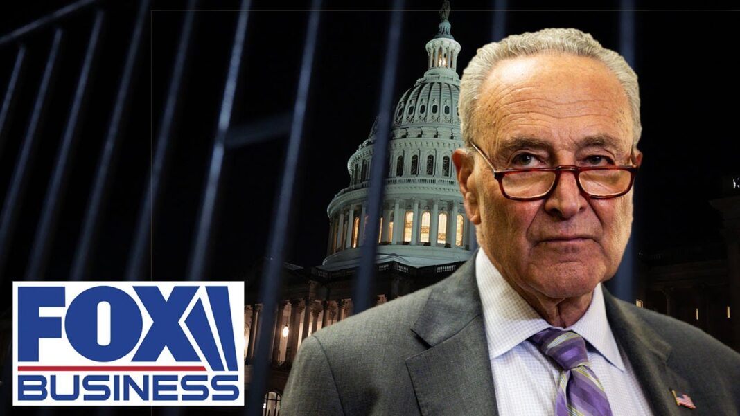 ‘SCHUMER’S SHUTDOWN’: GOP rep explains how this will backfire on Democrats