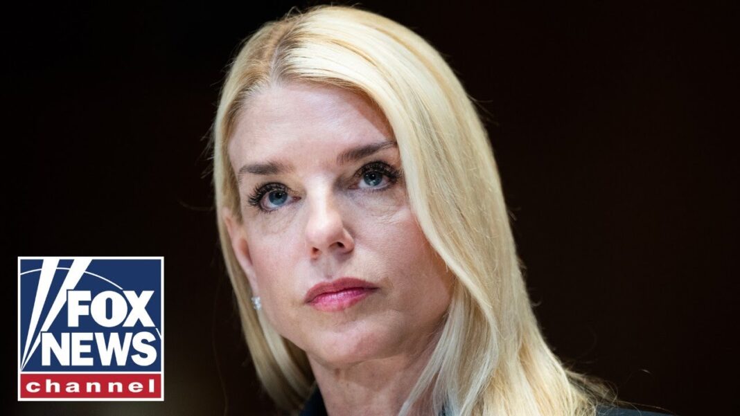 Pam Bondi deploys DOJ to ICE facilities after shooting: 'Will not stand idly by'