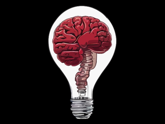 TTC Light Bulb Header Logo 544x408
