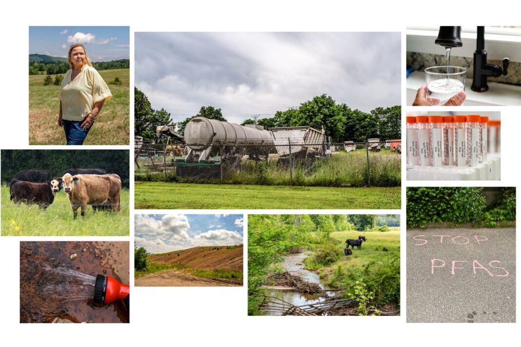 States Go It Alone on ‘Forever Chemicals’ as EPA Delays Federal Action