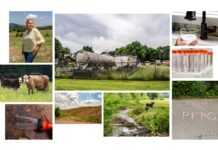States Go It Alone on ‘Forever Chemicals’ as EPA Delays Federal Action