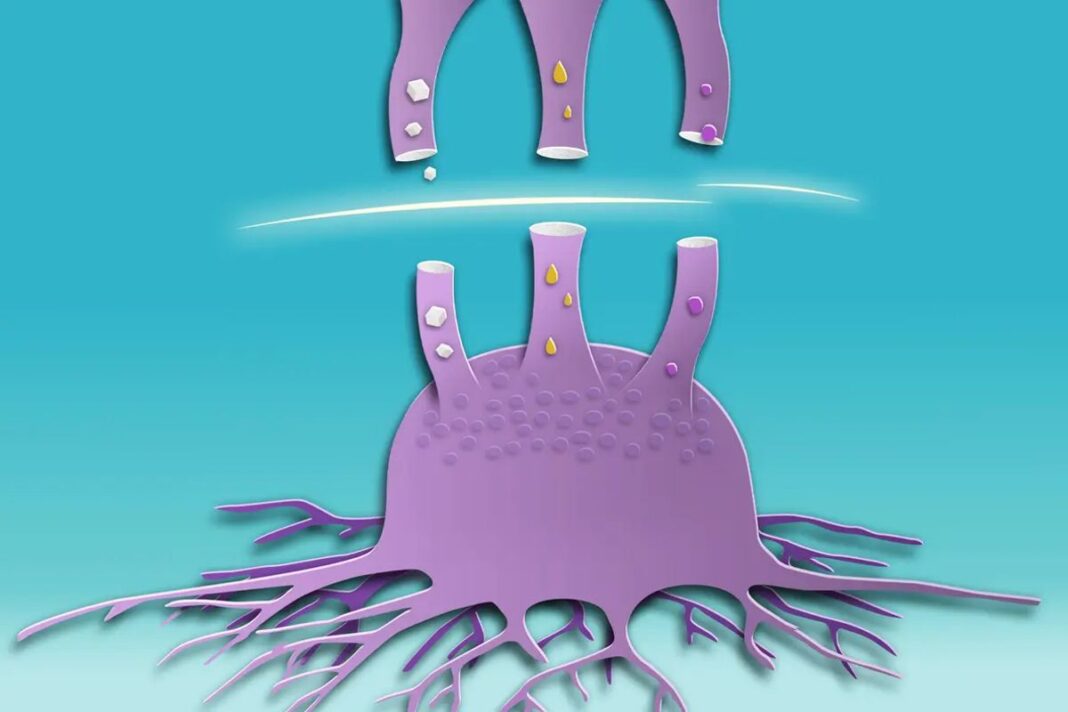 Metabolic childhood cancer
