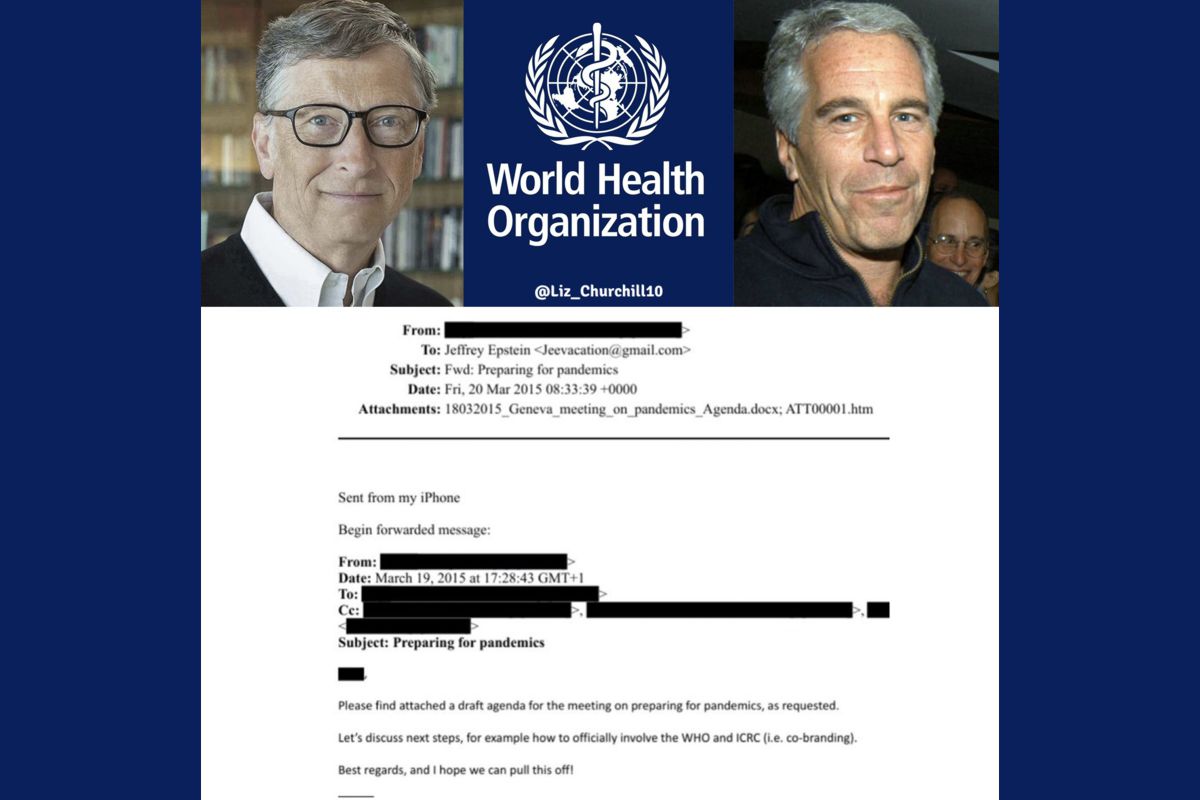 Gates Discussed Pandemic with Epstein in 2017!?