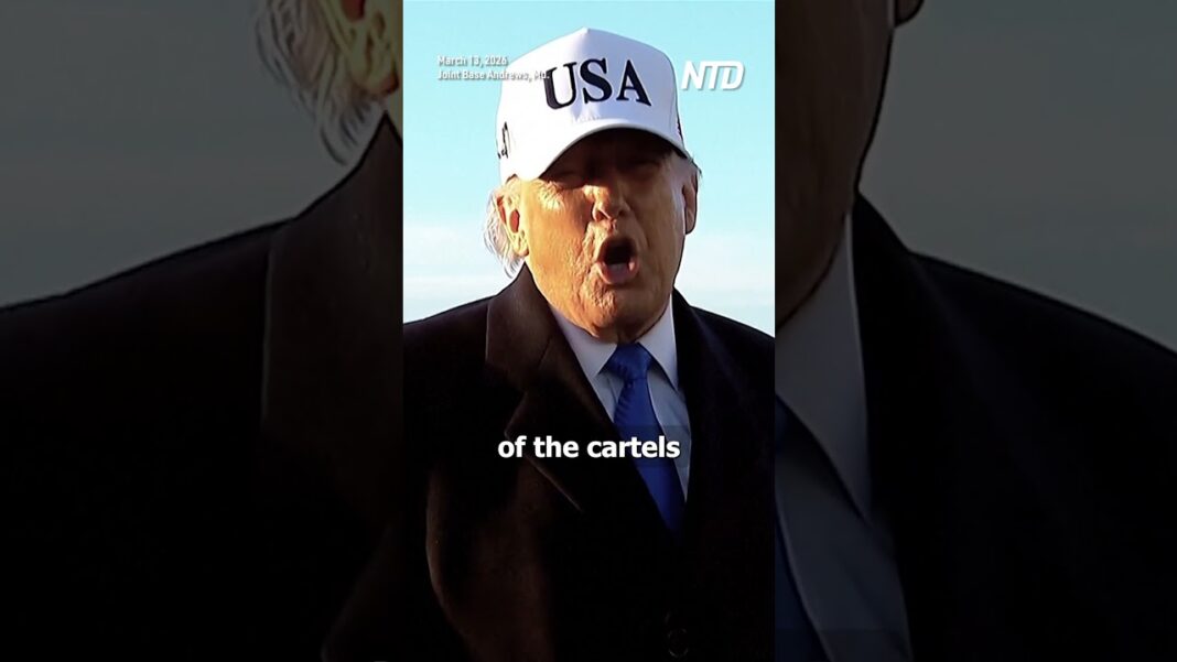 Trump Says Mexico's Sheinbaum 'Should Not Have Refused' His Help to Fight Cartels