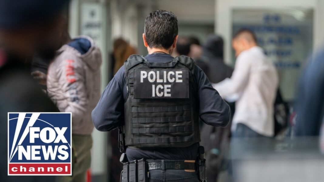 BREAKING: Trump announces ICE agents will be sent to US airports