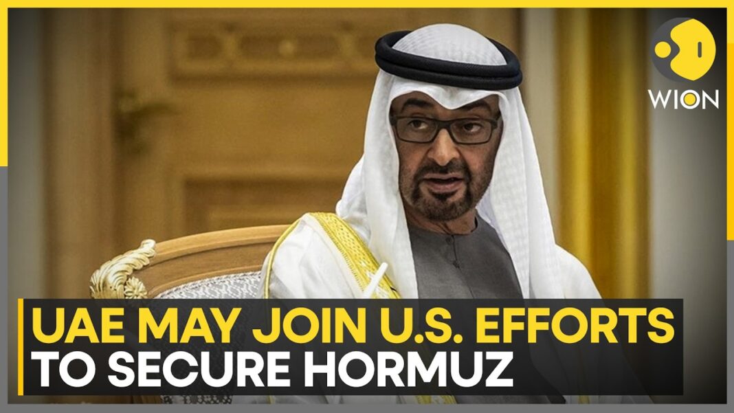 US-Iran War: UAE Could Join Any US-Led Effort to Secure Strait of Hormuz, Says Senior Official