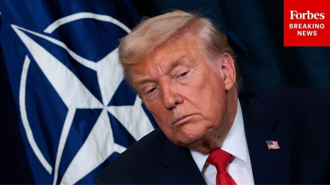 'They Weren't There For Us': Trump Rips NATO Over Lack Of Support Defending Strait Of Hormuz