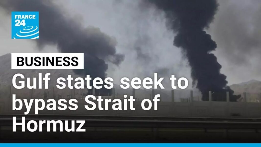 Gulf states seek to bypass Strait of Hormuz for oil exports via pipelines • FRANCE 24 English
