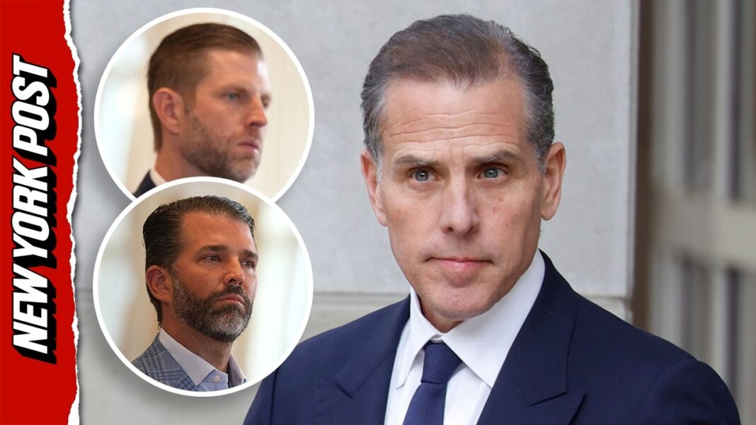 Hunter Biden Wants 'Cage Match' With President Trump's Sons