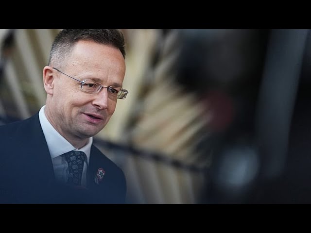 Hungarian foreign minister admits calling Russia's Lavrov during key EU meetings