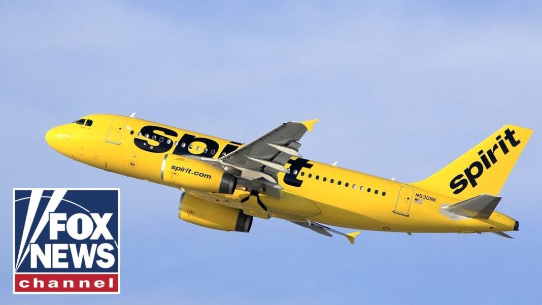 'ALL FLIGHTS CANCELED': Spirit Airlines halts operation