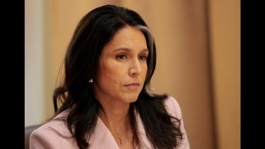 ‘Obvious Dangers’: Gabbard Probing US Funding to International Biolaboratories