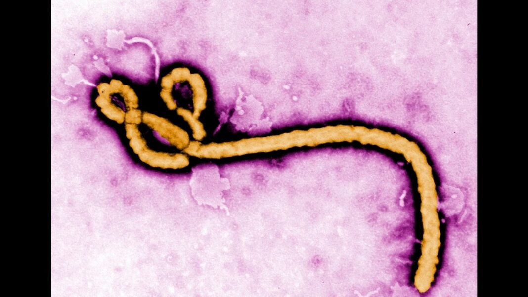 US Issues Travel Advisories Over Ebola Outbreak in Congo