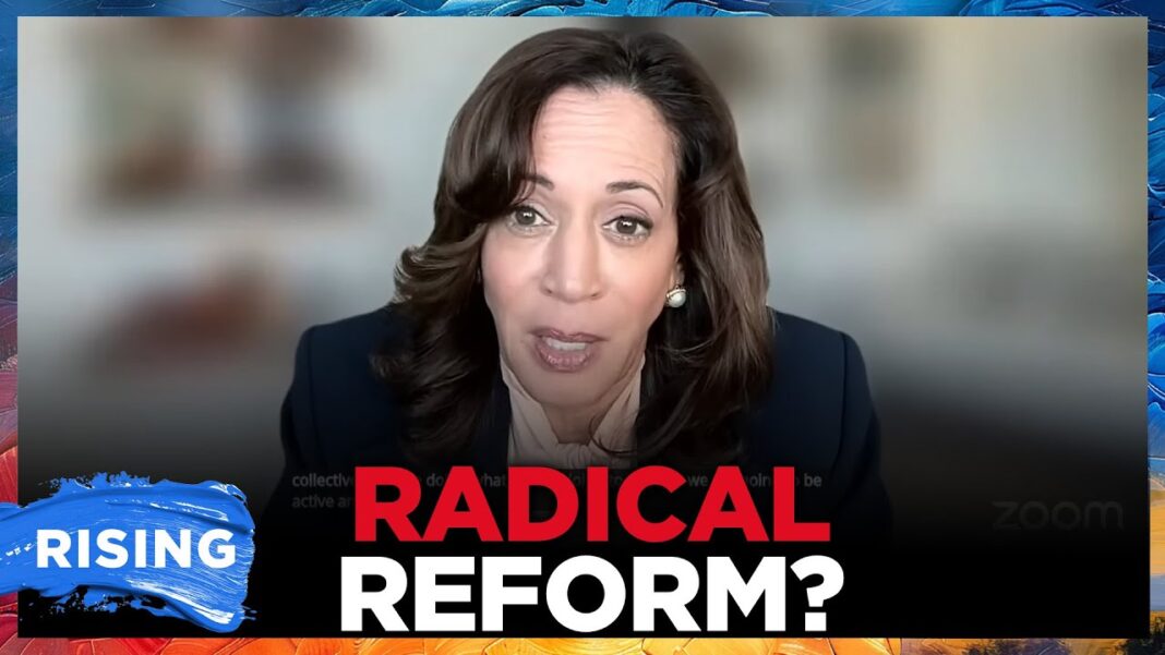 Kamala Harris URGES Dems to ‘brainstorm’ whether to EXPAND SCOTUS, REFORM electoral college | RISING