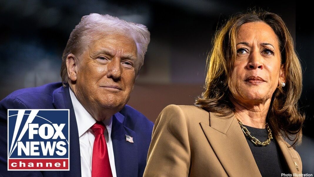 BOMBSHELL report on 2024 election RELEASED