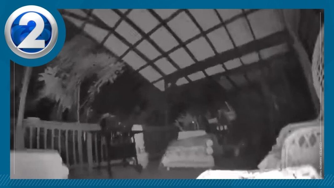 WATCH: 6.0 magnitude earthquake impacts residents across the islands