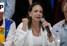 Nobel Peace Prize Winner Eyes Presidency in Venezuela 'What Party Wrote The Jim Crow Laws In The South?': Ted Cruz Questions Witness On Dem Party History