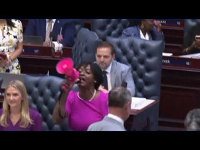 State Representative Angie Nixon disrupts House proceedings during redistricting vote