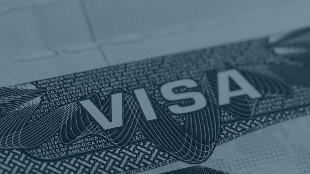 US Vis Services