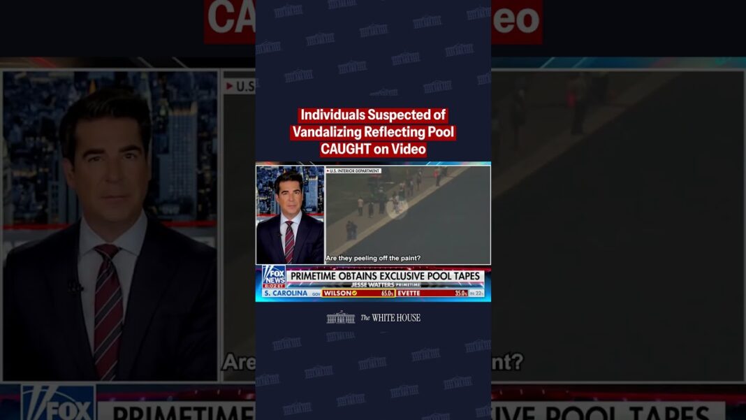 CAUGHT ON VIDEO: Suspects vandalizing the Reflecting Pool