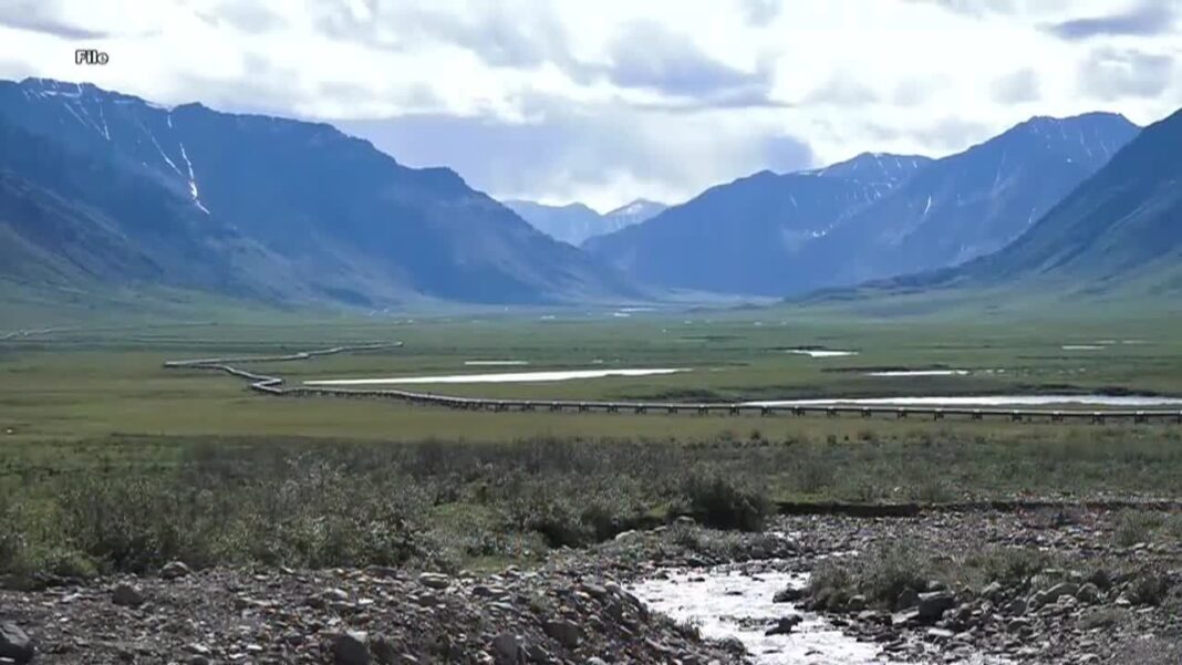 Arctic National Wildlife Refuge lease sale attracts bids from only two companies