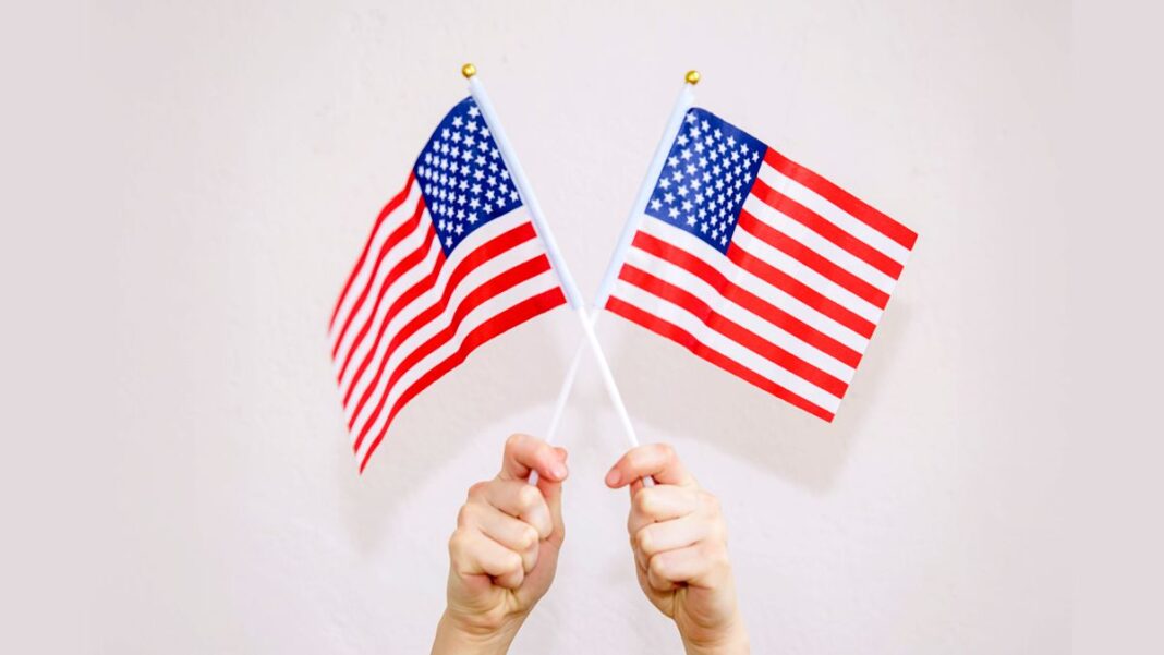 Small American Flags