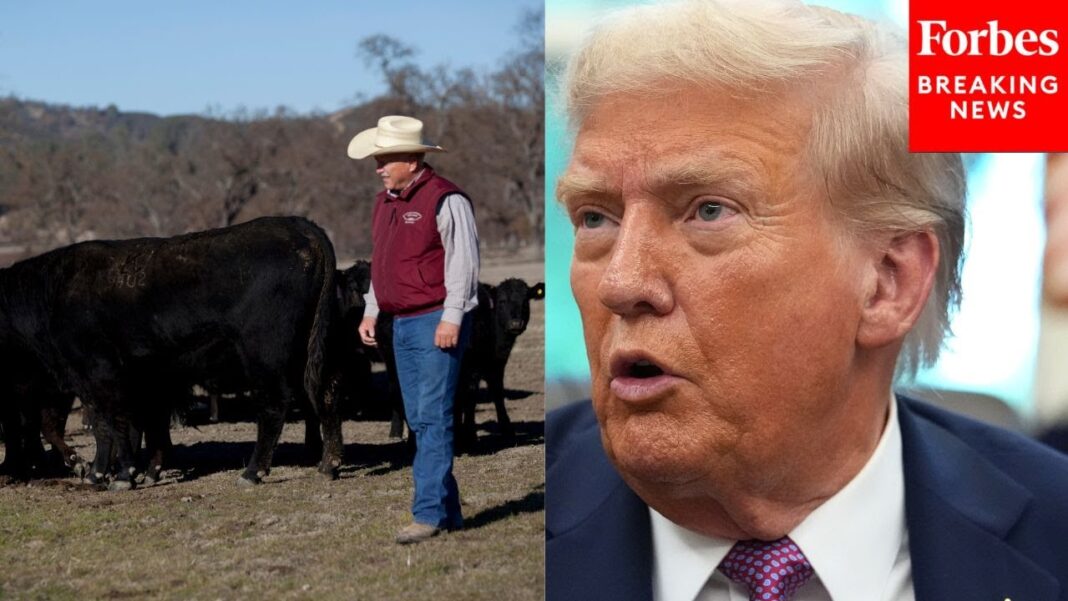 Trump Says Cattle Ranchers ‘Don’t Understand’ His Policies After Argentina Beef Import Plan Backlash