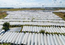 US Pays German Company $1.22 Billion to Cancel Wind Leases Skip navigation wind turbine grave yard Create 9+ Avatar image ‘Turbine graveyards’ sprawled across Texas