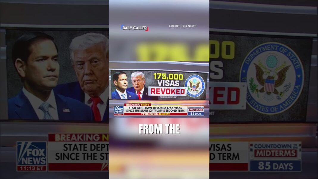 Trump Admin Revokes 175,000 Visas